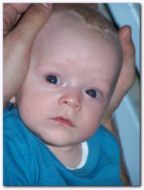 474x624 pixels (20K)